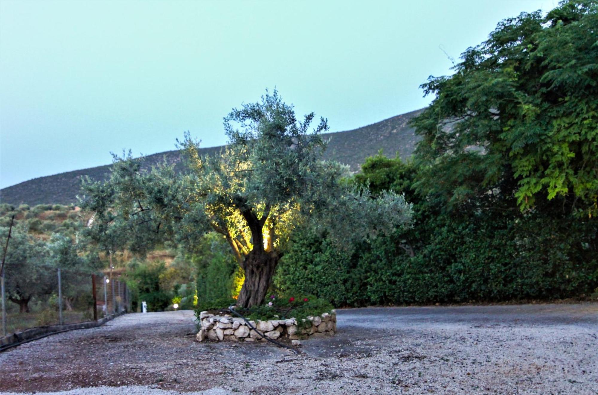 Holiday home Korina Metochi (Asklipiio)