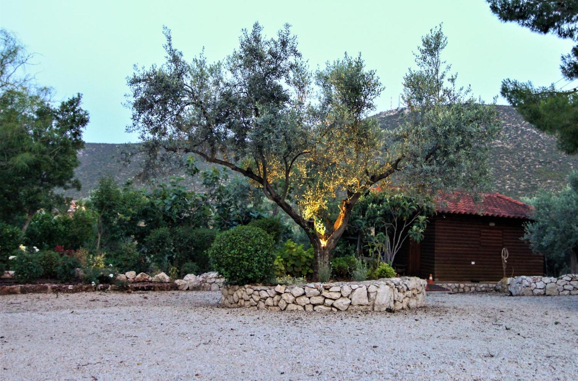 Korina Holiday home Metochi (Asklipiio)