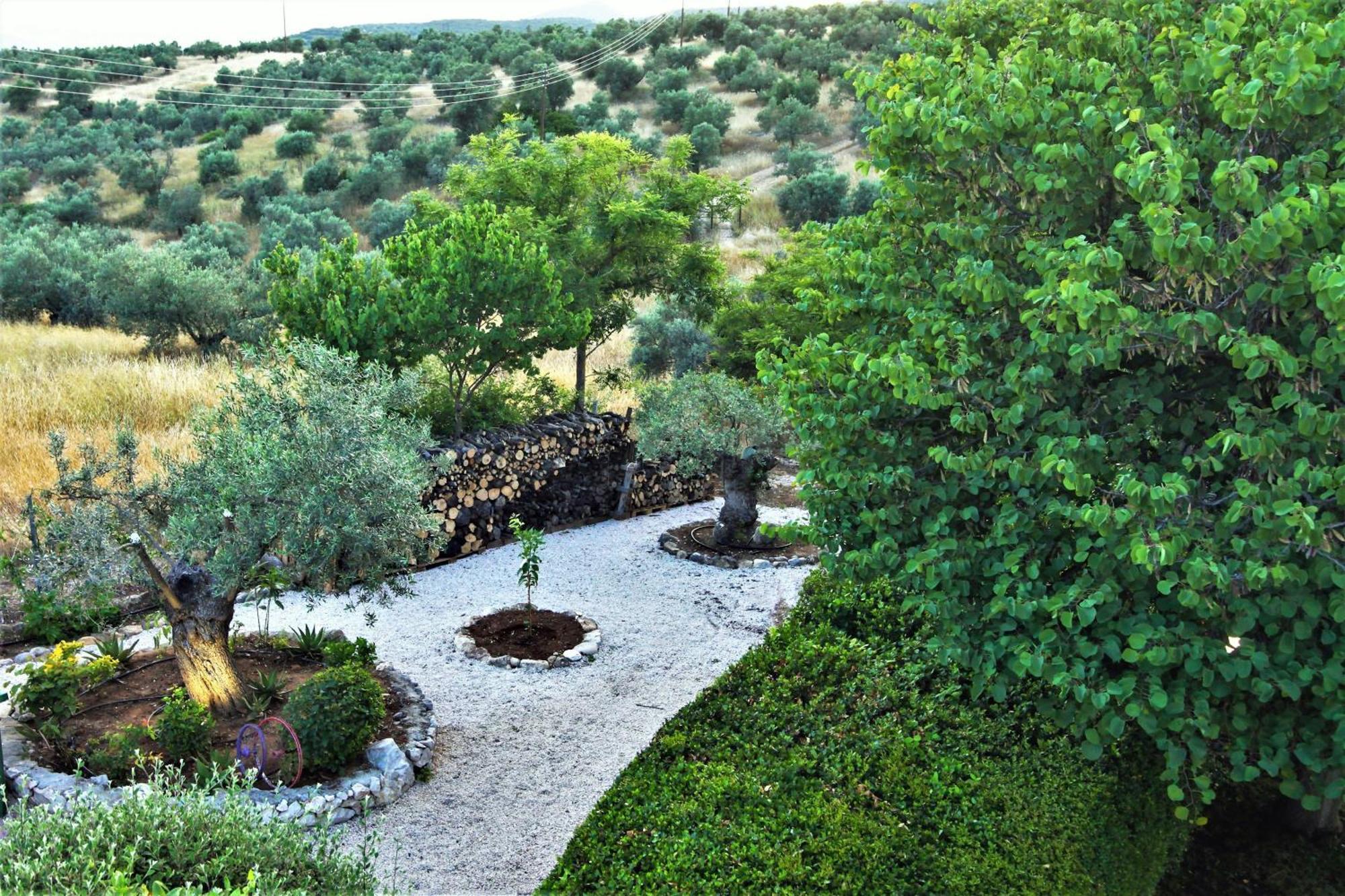 Holiday home Korina Metochi (Asklipiio)