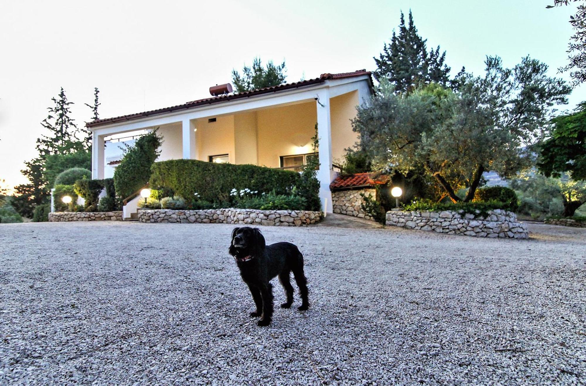 Korina Holiday home